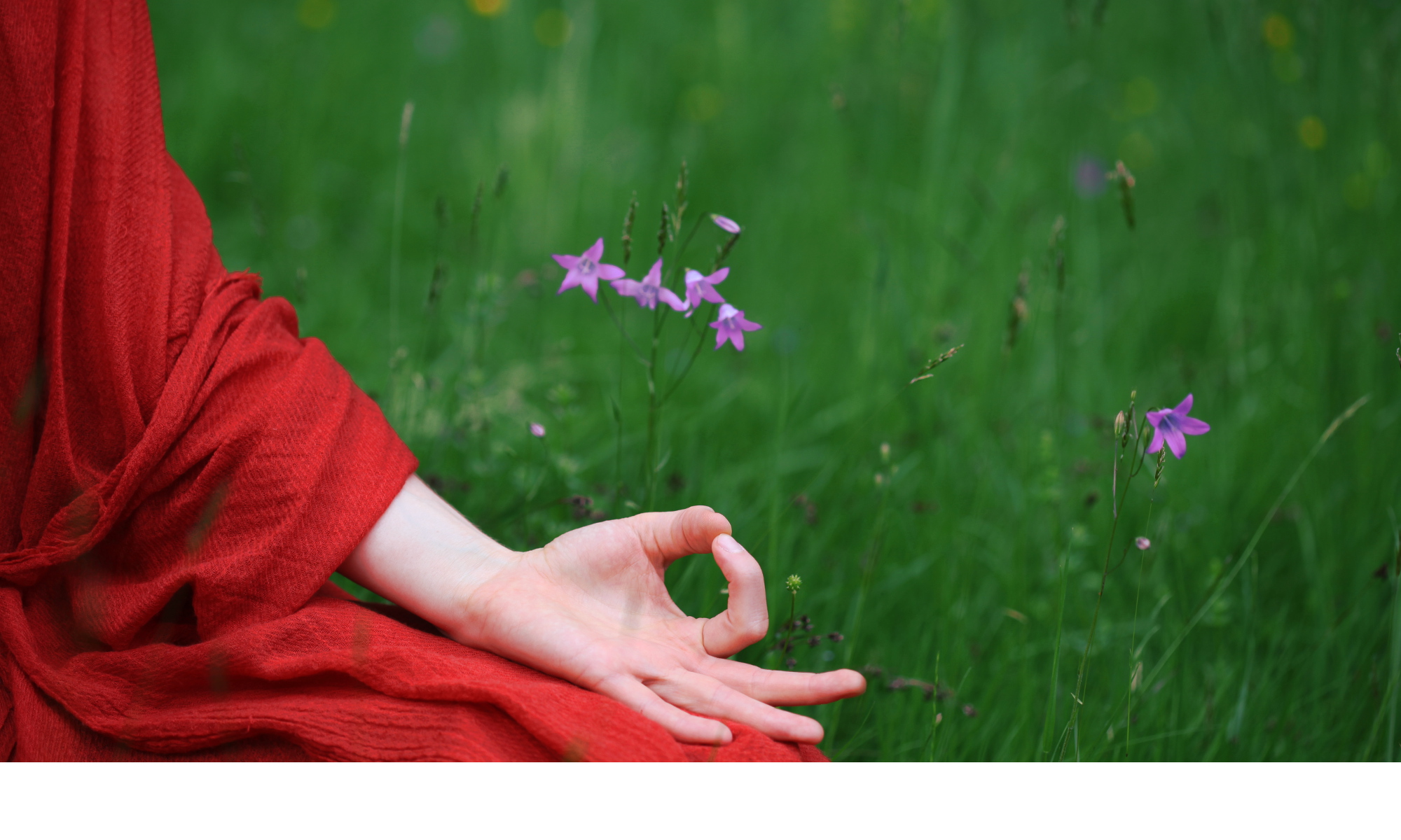 gobi-mudra